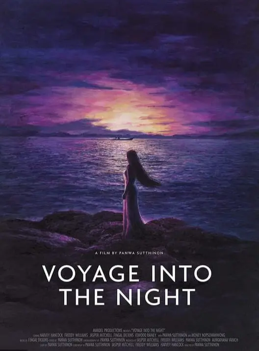 《夜航》：暗夜下的生死竞速，揭秘惊天阴谋！年度必看国产悬疑谍战力作