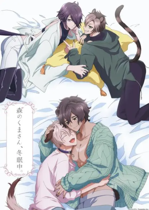 《森林里的熊先生冬眠中》：治愈系动画的温柔回响，一份关于爱与成长的暖心童话